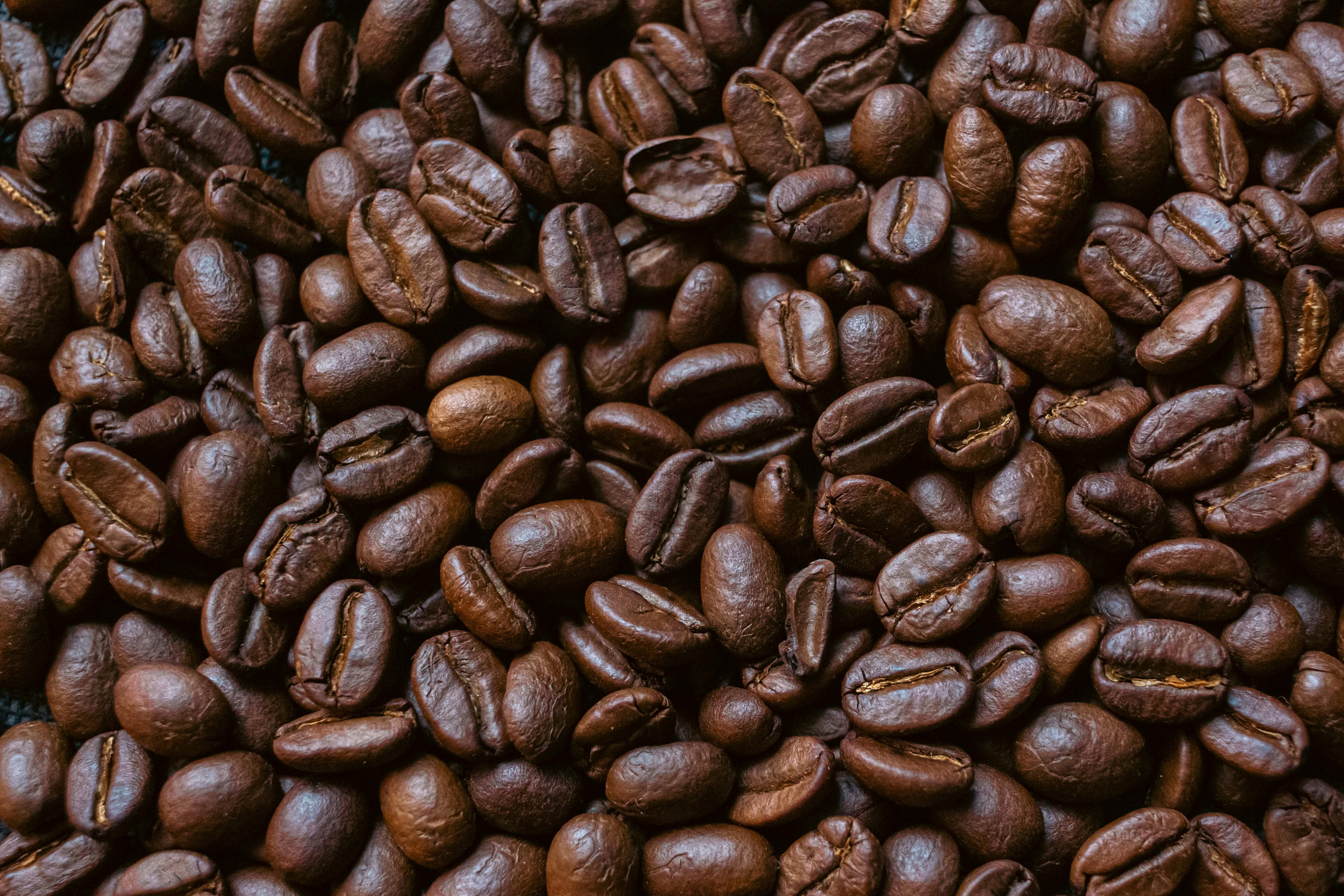 French Roast Blend Coffee 1 LB